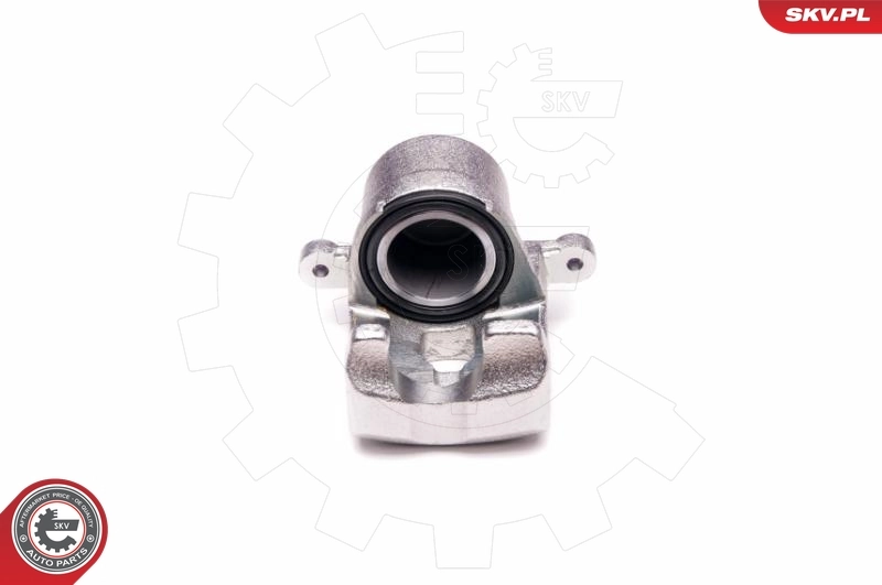 Brake Caliper 23SKV422