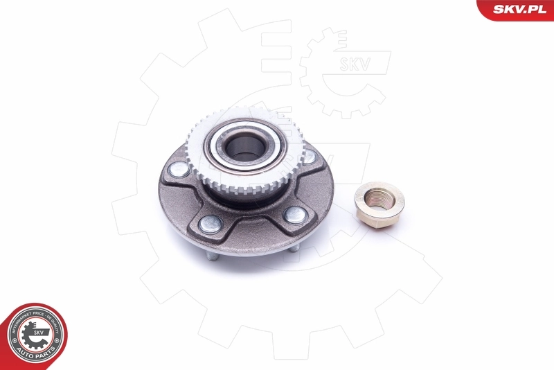 Wheel Bearing Kit 29SKV212