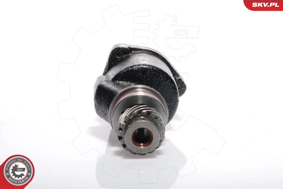 Vacuum Pump, braking system 18SKV001