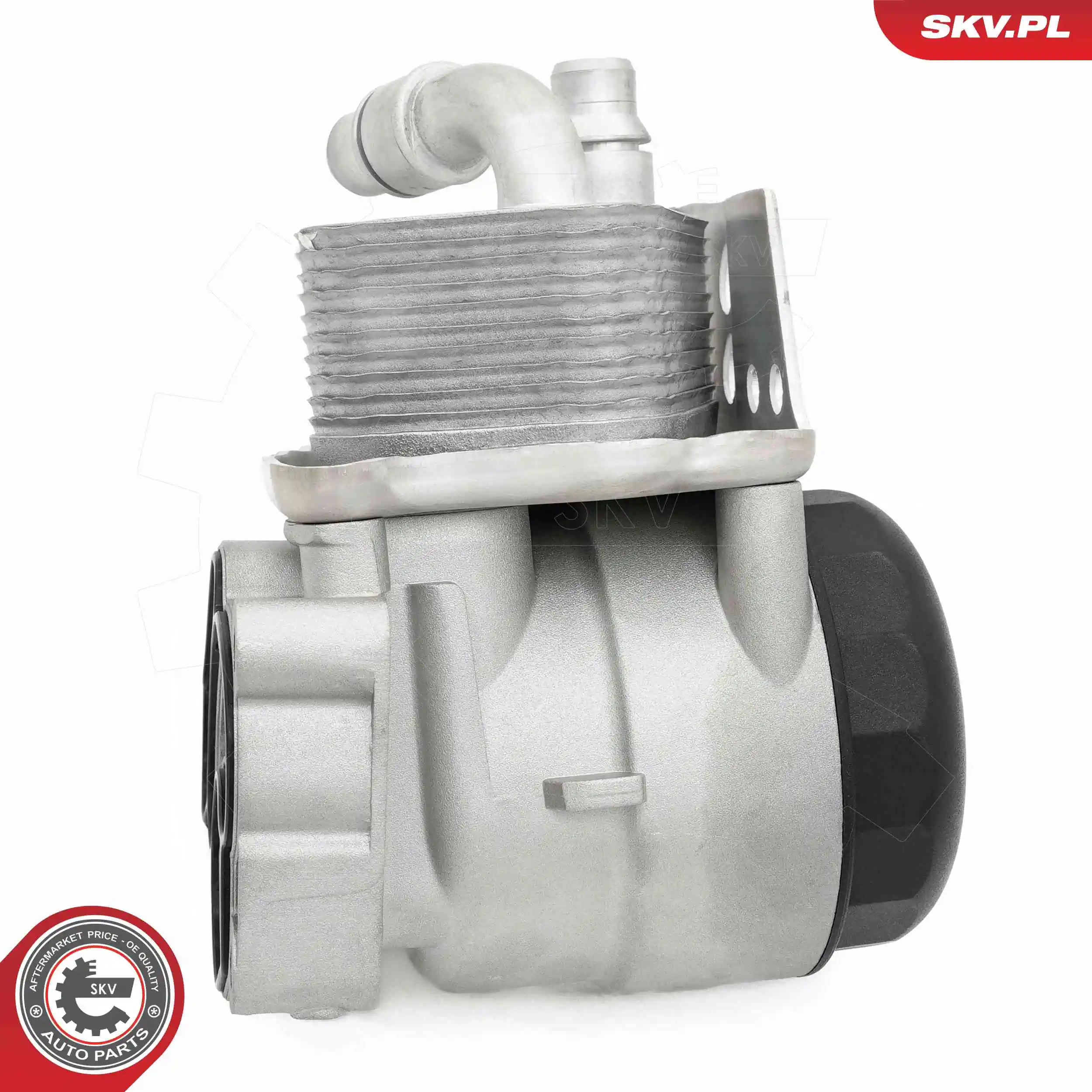 Oil Cooler, engine oil 31SKV443