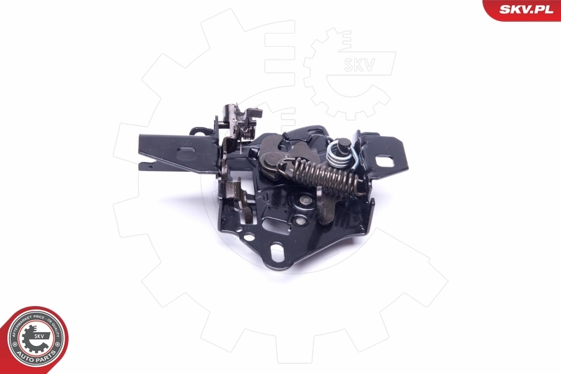 Tailgate Lock 16SKV248