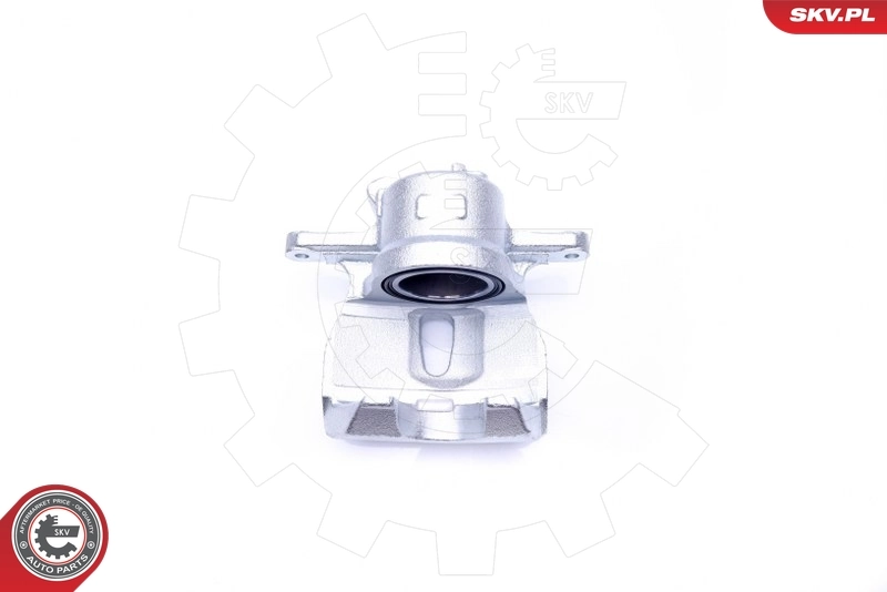 Brake Caliper 44SKV321