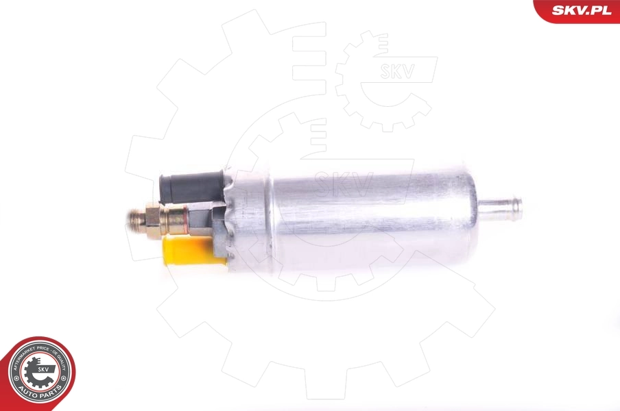 Fuel Pump 02SKV011