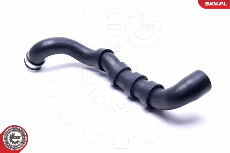 Radiator Hose 43SKV895