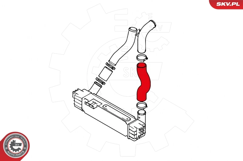 Charge Air Hose 43SKV021