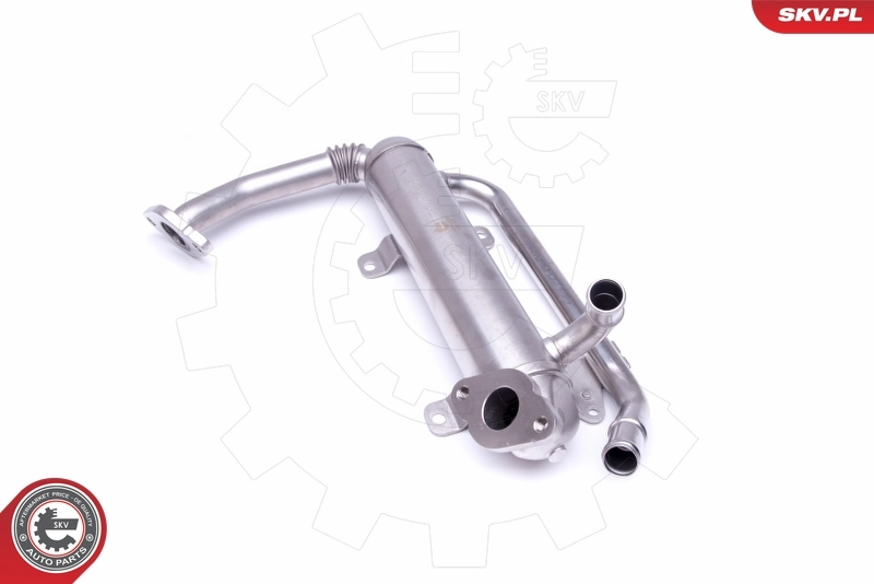 EGR Valve 14SKV223