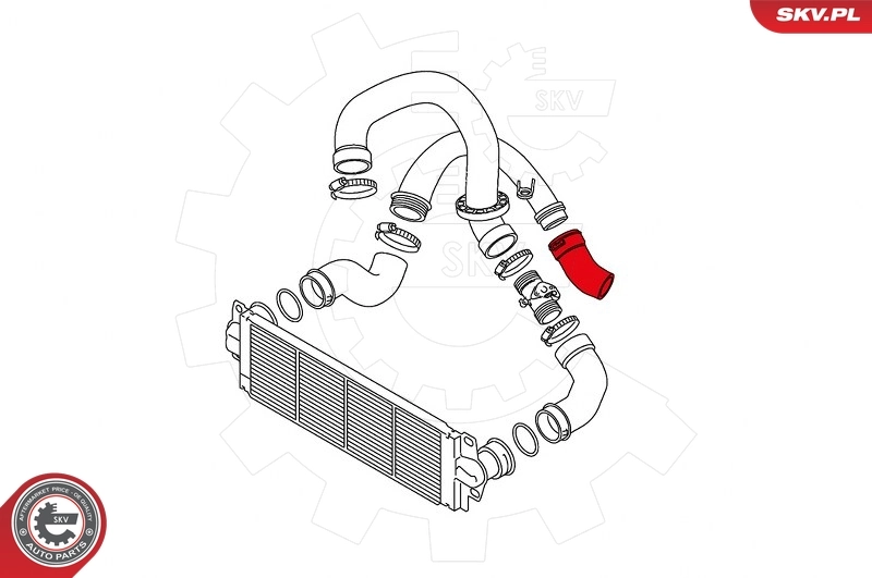 Charge Air Hose 43SKV108