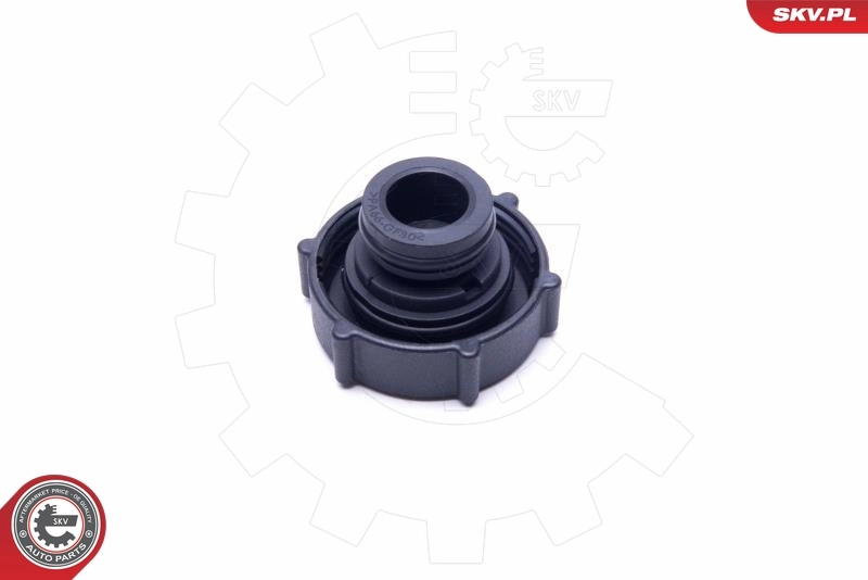 Cap, coolant tank 61SKV006