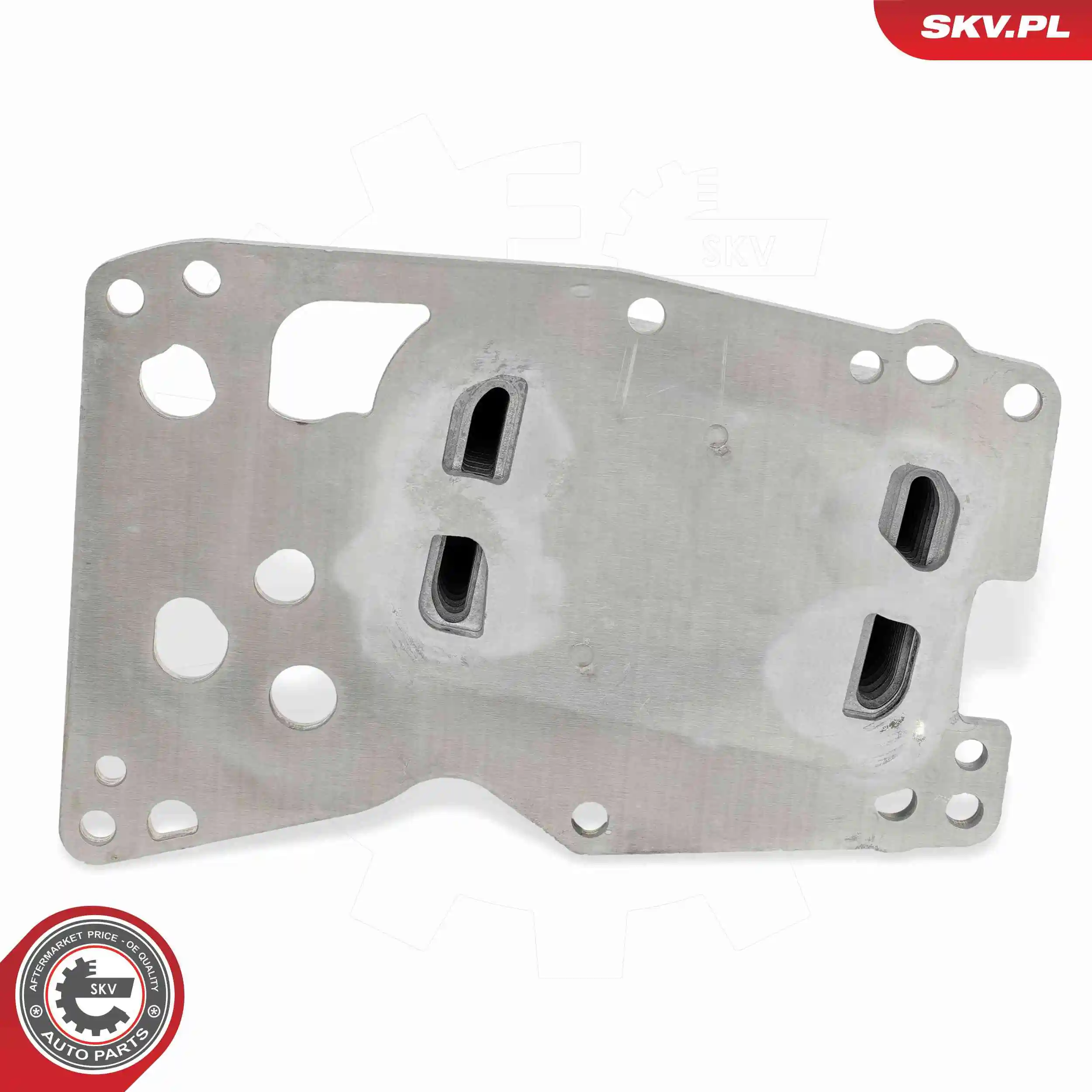 Oil Cooler, engine oil 31SKV378