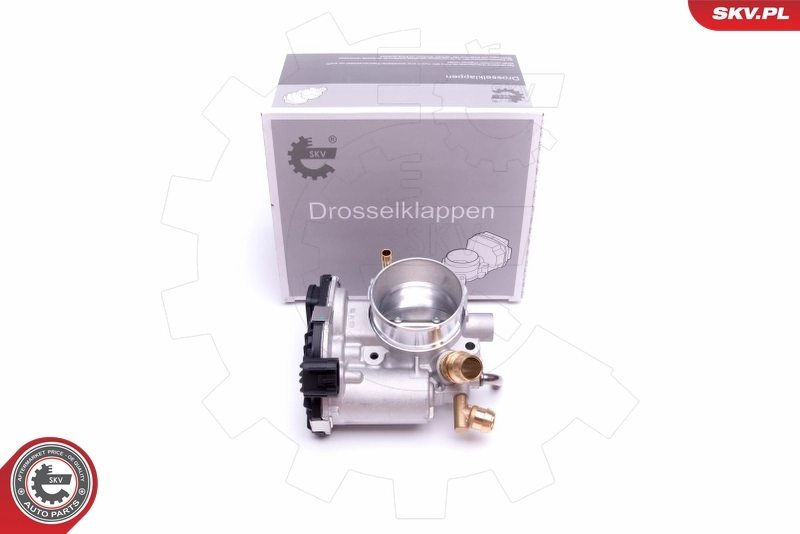 Throttle Body 12SKV074
