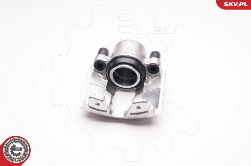 Brake Caliper 23SKV395