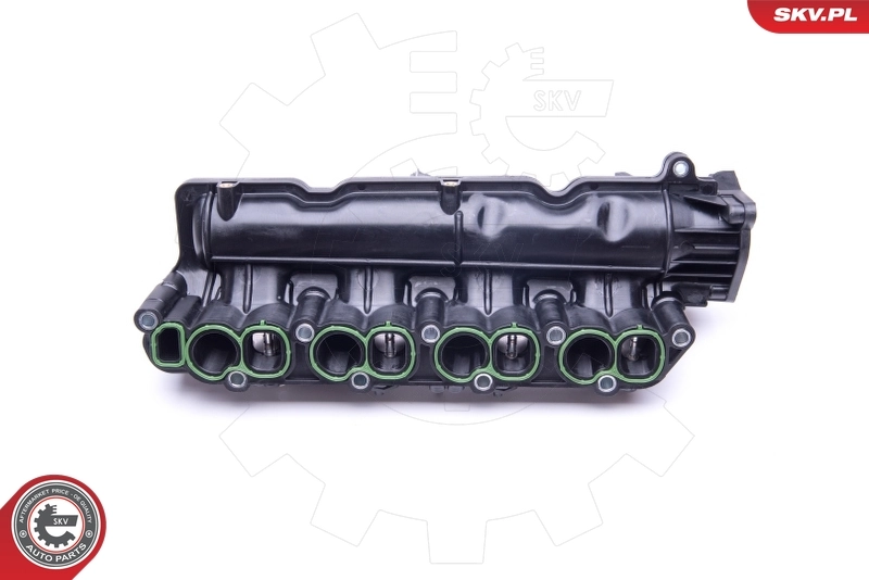 Intake Manifold Module 49SKV005