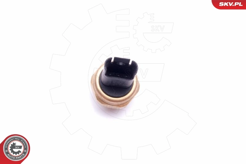 ESEN SKV 17SKV620 Sensor, fuel pressure