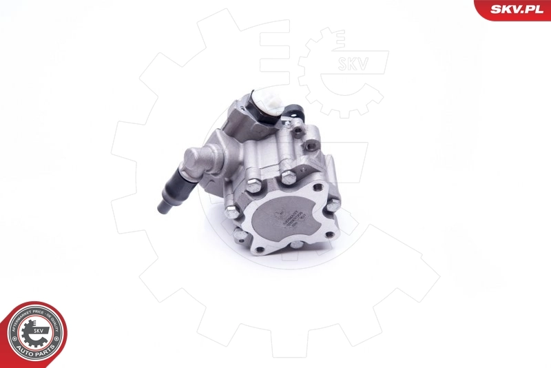 Hydraulic Pump, steering 10SKV196