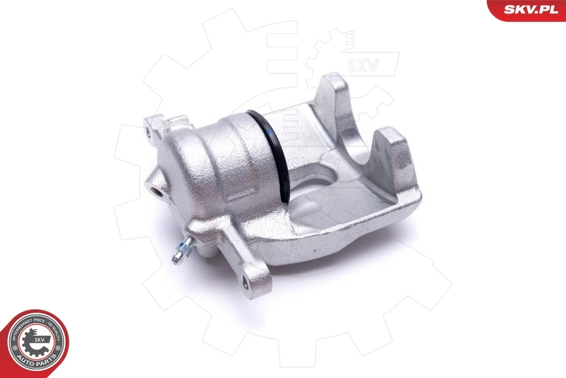 Brake Caliper 55SKV921