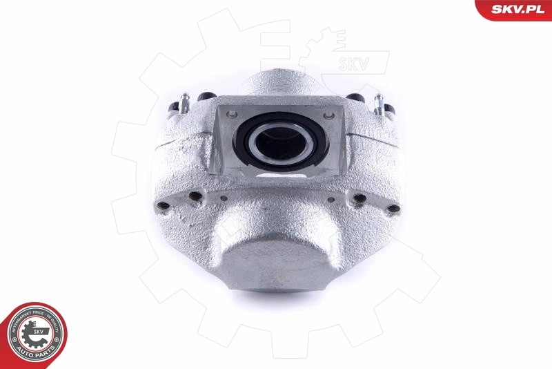 Brake Caliper 55SKV351