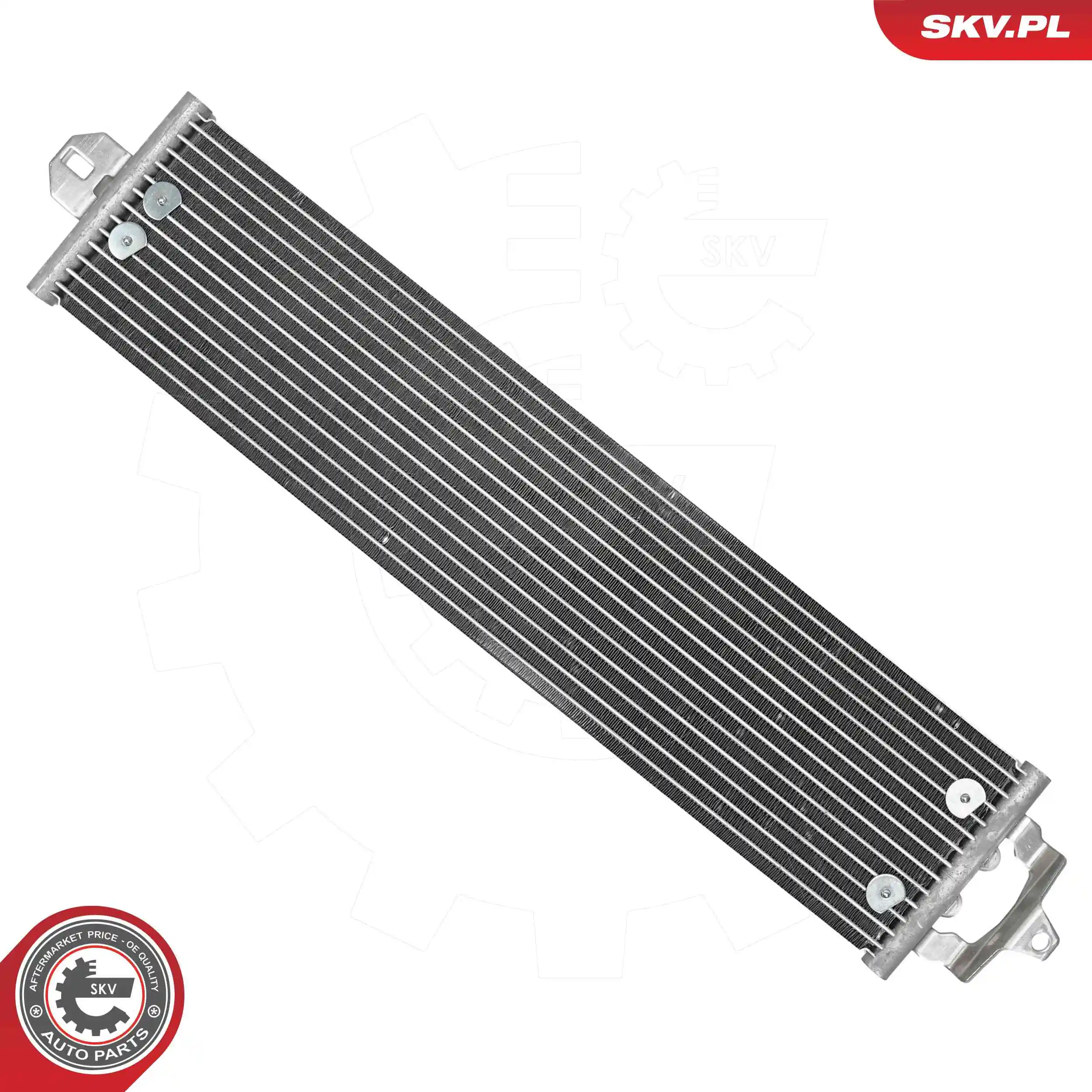 Oil Cooler, engine oil 31SKV356