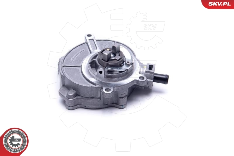 Vacuum Pump, braking system 18SKV033