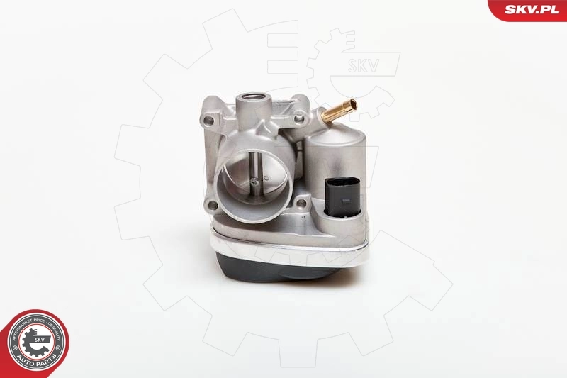 Throttle Body 12SKV029