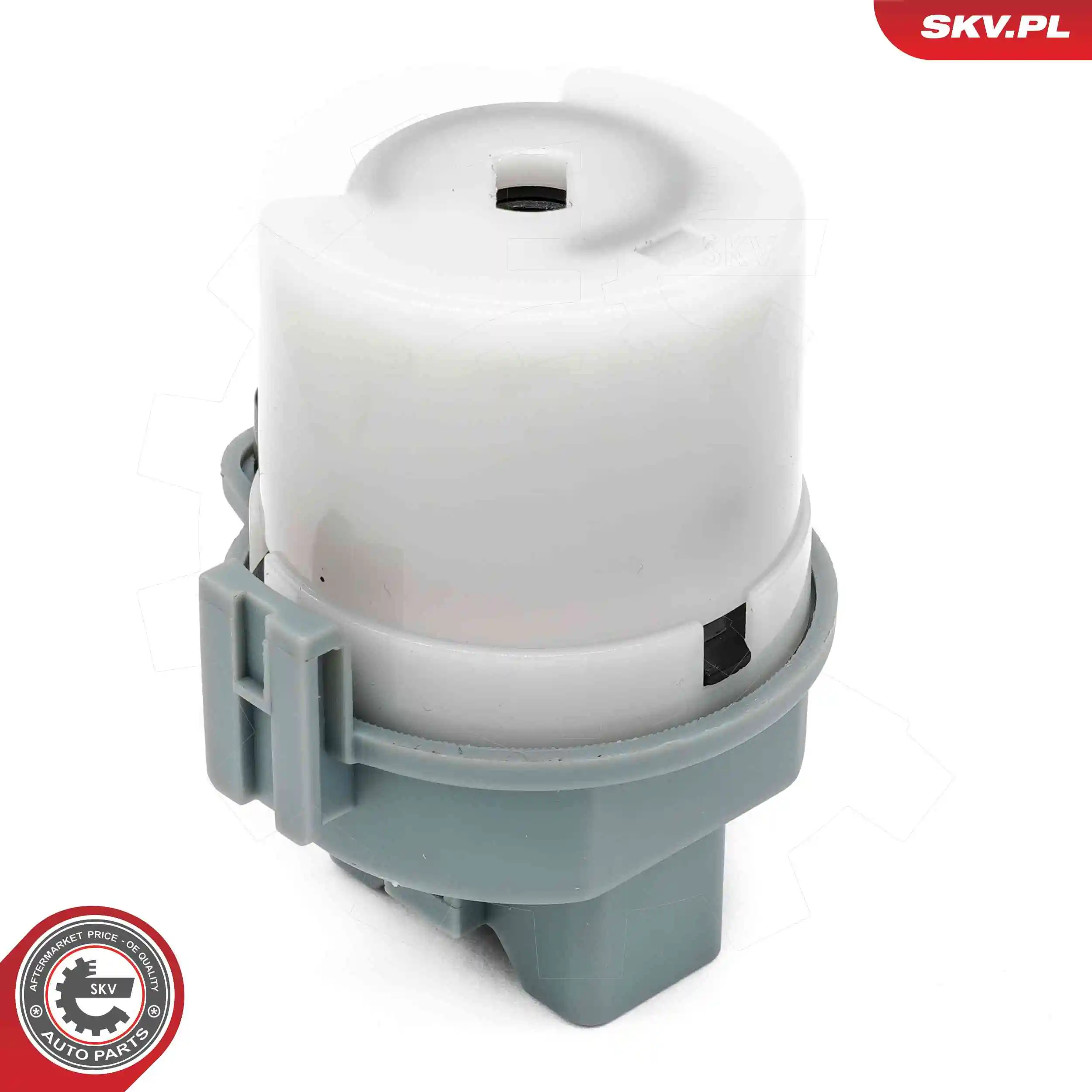 Ignition Switch 65SKV034