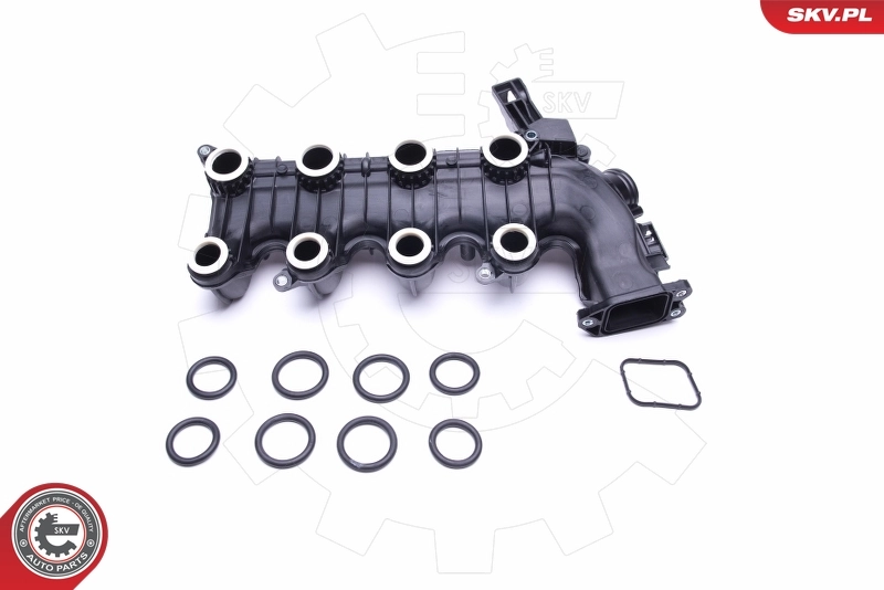 Intake Manifold Module 49SKV022