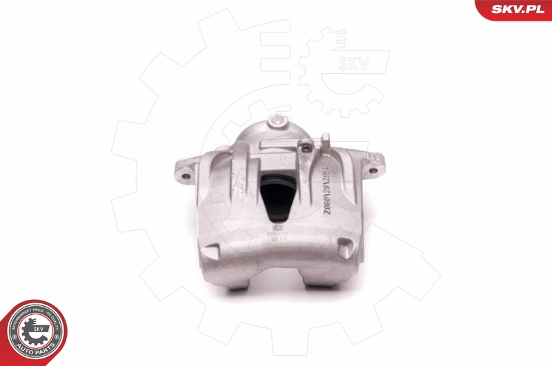 Brake Caliper 23SKV791