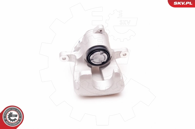 Brake Caliper 23SKV377