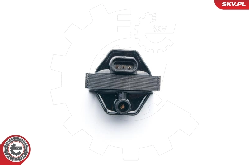 Ignition Coil 03SKV253