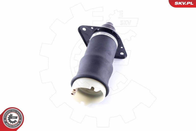 Air Spring, suspension 58SKV040
