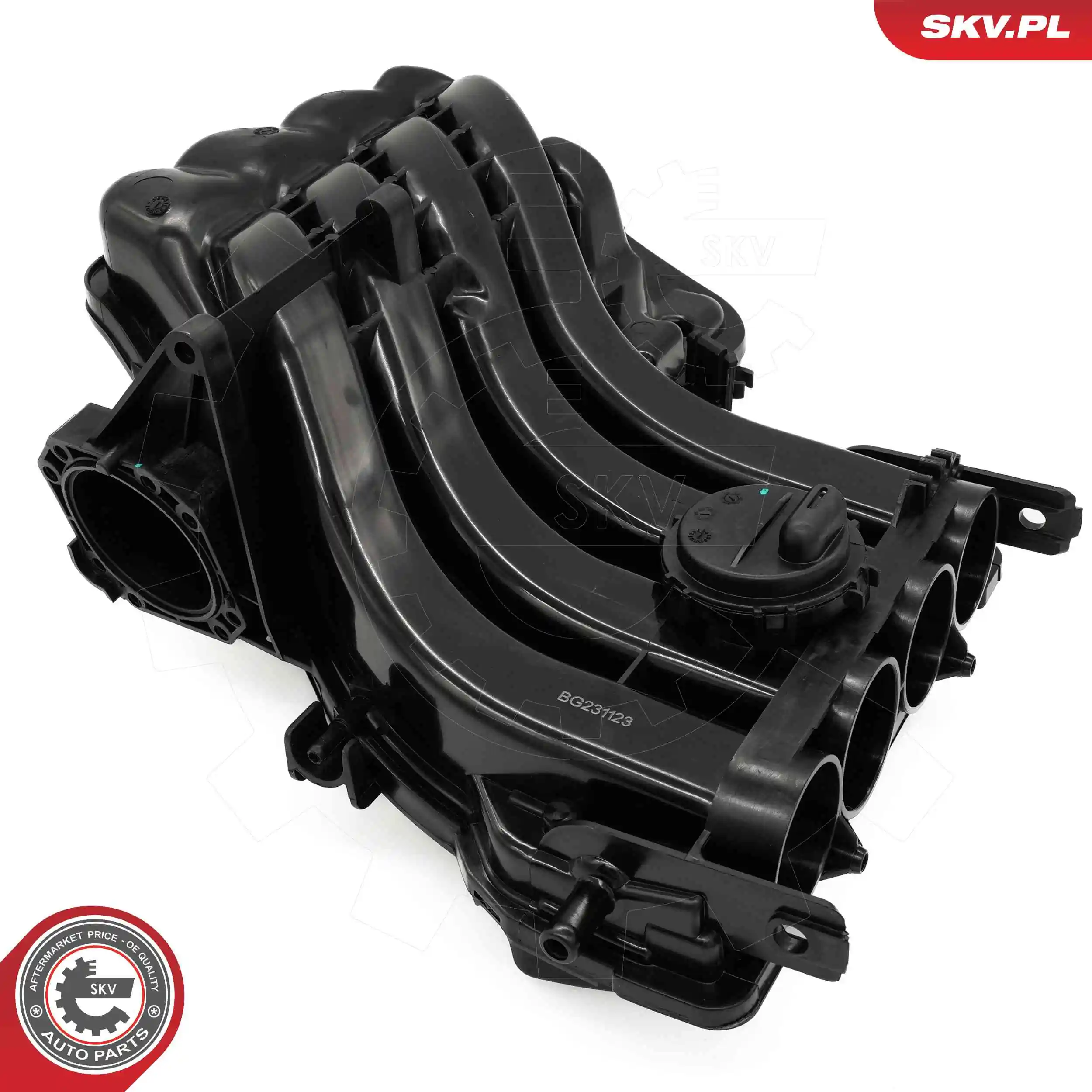 Intake Manifold Module 49SKV088