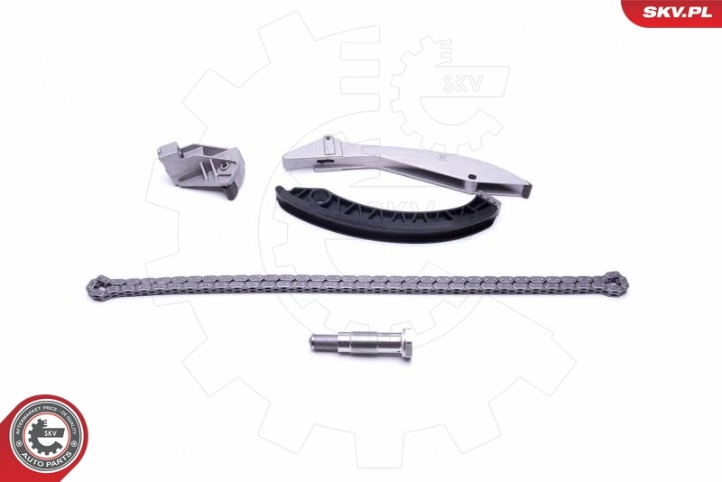 Timing Chain Kit 21SKV133
