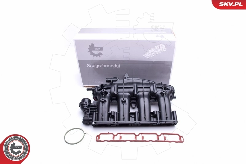 Intake Manifold Module 49SKV028