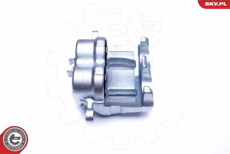 Brake Caliper 44SKV112