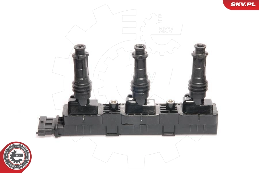 Ignition Coil 03SKV022