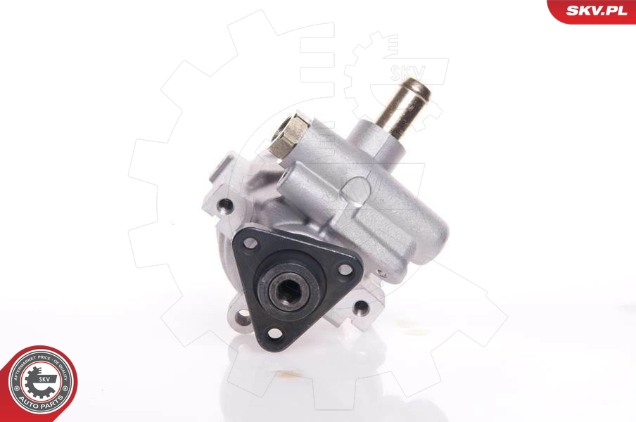 Hydraulic Pump, steering 10SKV007