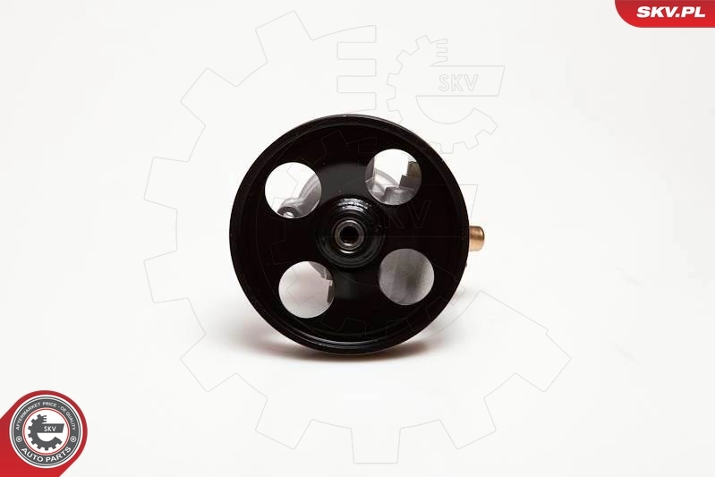 Hydraulic Pump, steering 10SKV086