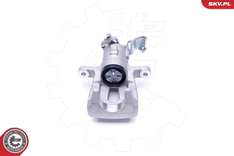 Brake Caliper 34SKV143