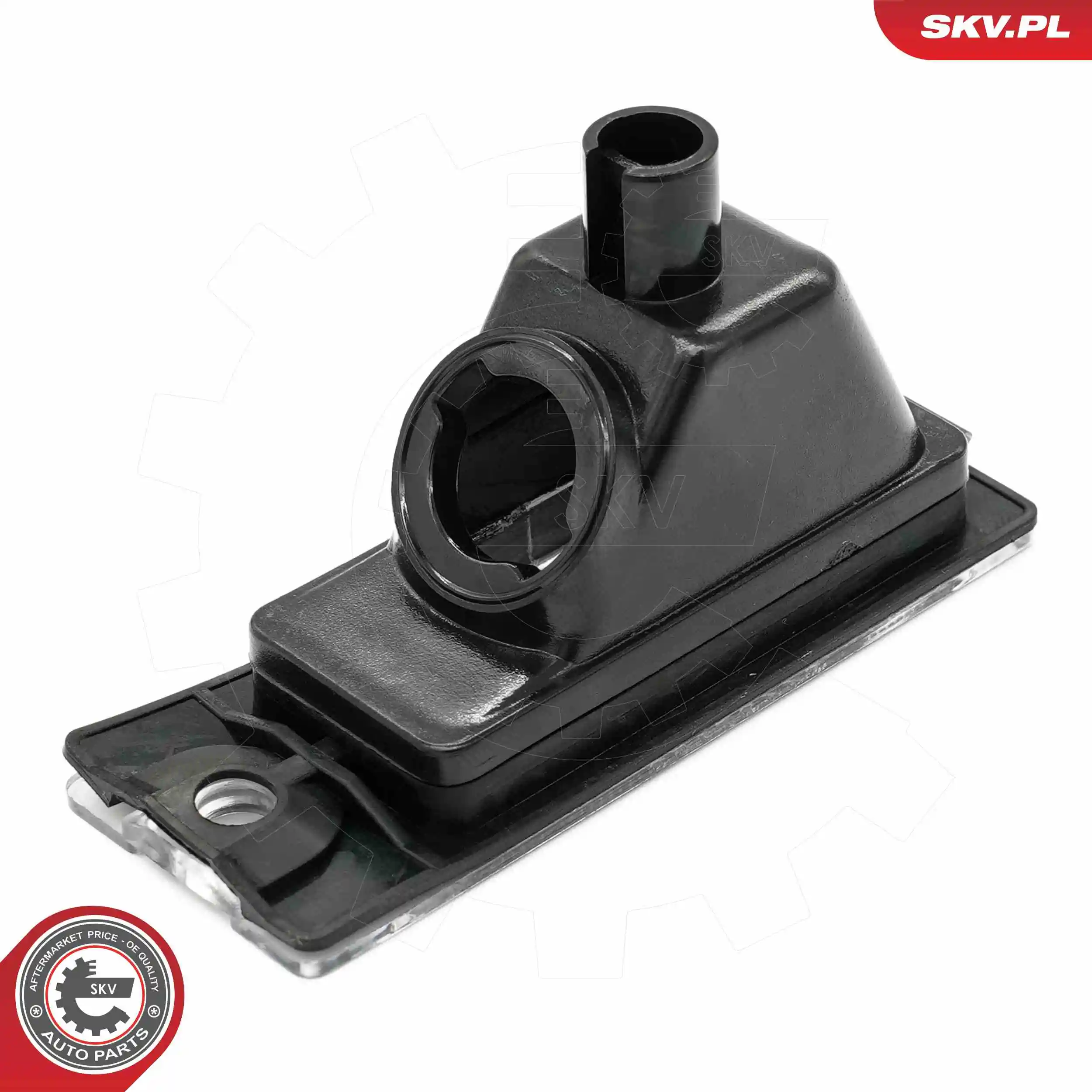 Licence Plate Light 72SKV025