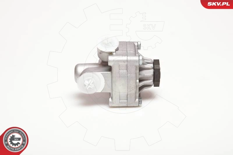 Hydraulic Pump, steering 10SKV017
