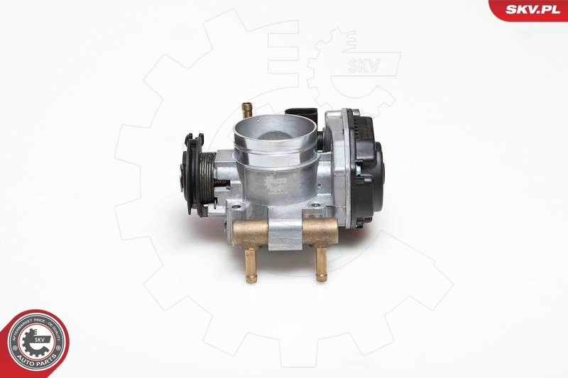 Throttle Body 12SKV003