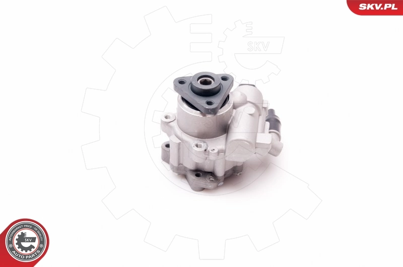 Hydraulic Pump, steering 10SKV220