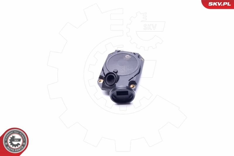 Valve, crankcase ventilation 31SKV073