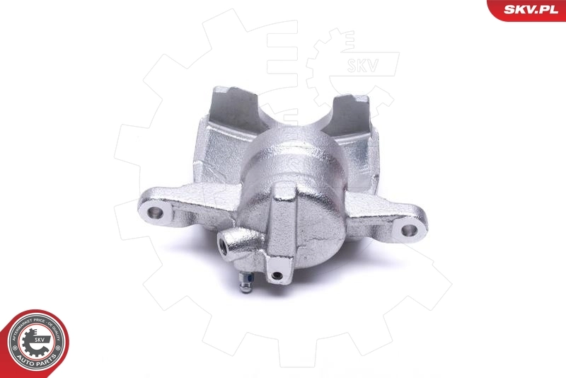Brake Caliper 56SKV302