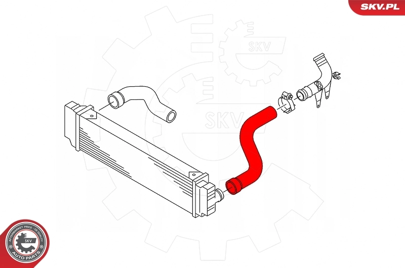 Charge Air Hose 43SKV006
