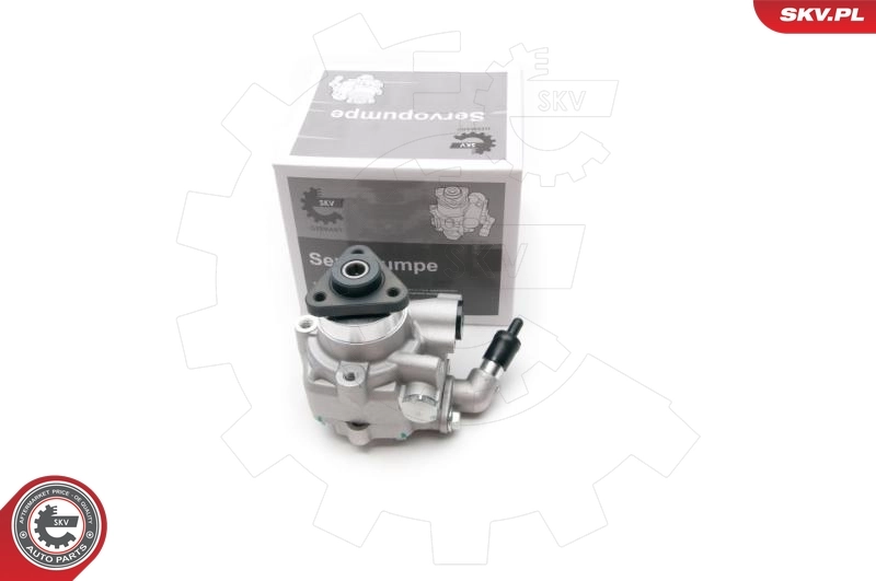 Hydraulic Pump, steering 10SKV194