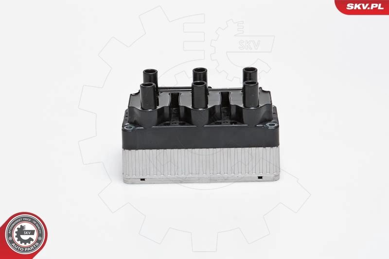 ESEN SKV 03SKV160 Ignition Coil