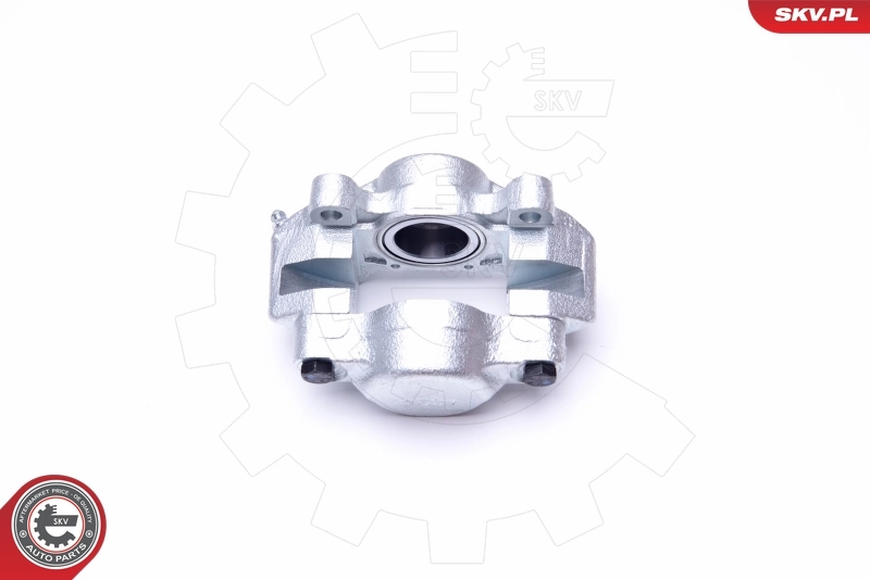 ESEN SKV 45SKV911 Brake Caliper