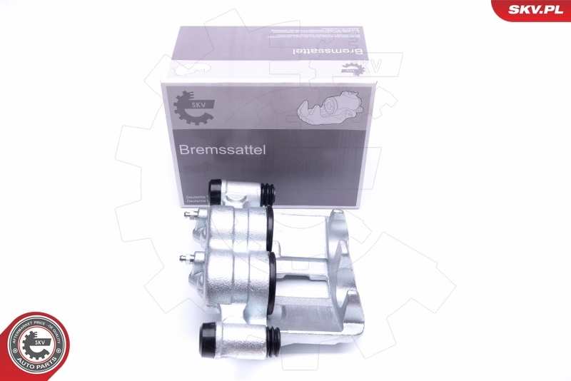 Brake Caliper 42SKV862