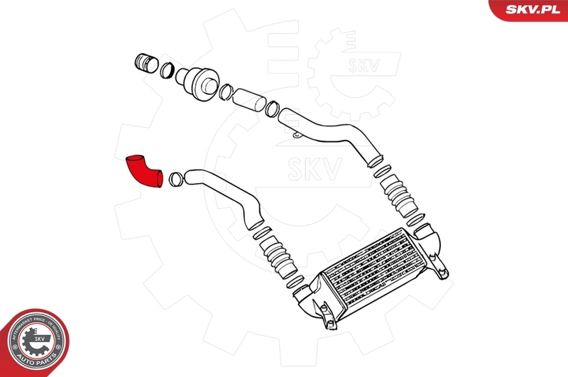 Charge Air Hose 24SKV218