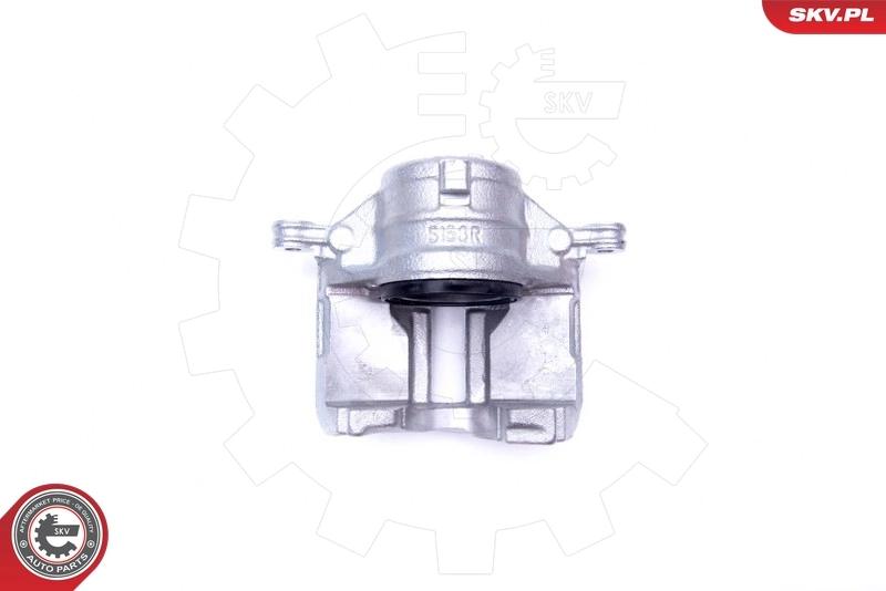 Brake Caliper 42SKV802